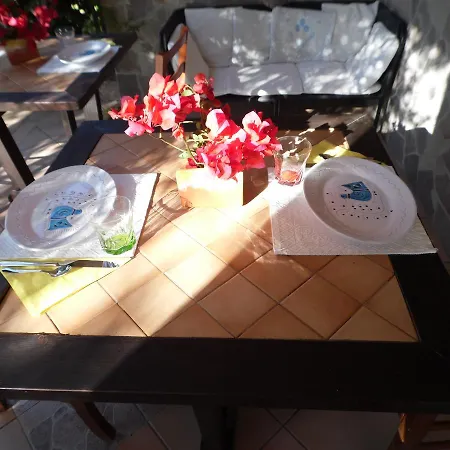 Bed & Breakfast Degli Ulivi Da Patty