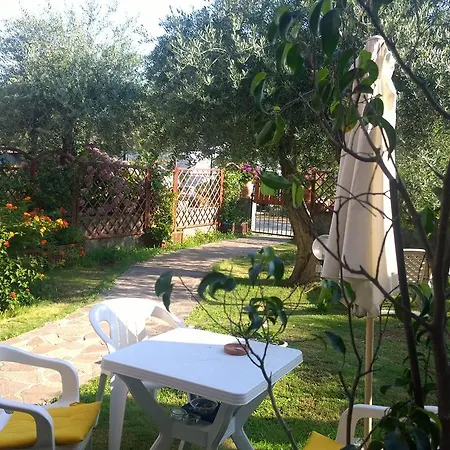 Degli Ulivi Da Patty *