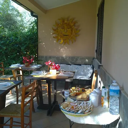 Bed & Breakfast Degli Ulivi Da Patty *