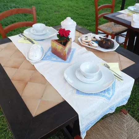 Degli Ulivi Da Patty Bed & Breakfast