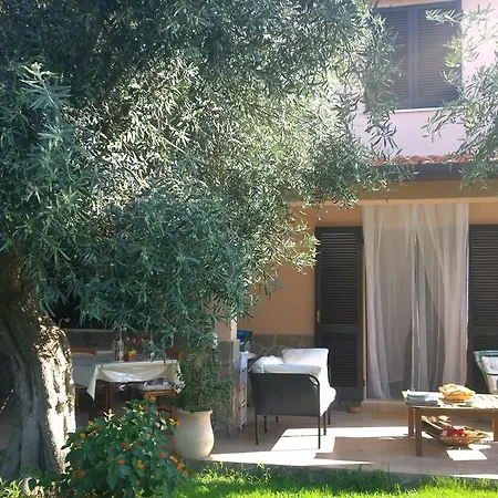 Bed & Breakfast Degli Ulivi Da Patty *