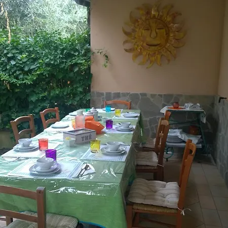 Degli Ulivi Da Patty Bed & Breakfast *