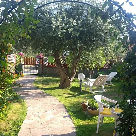 Degli Ulivi Da Patty