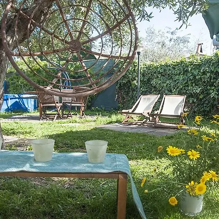 Bed & Breakfast Degli Ulivi Da Patty *