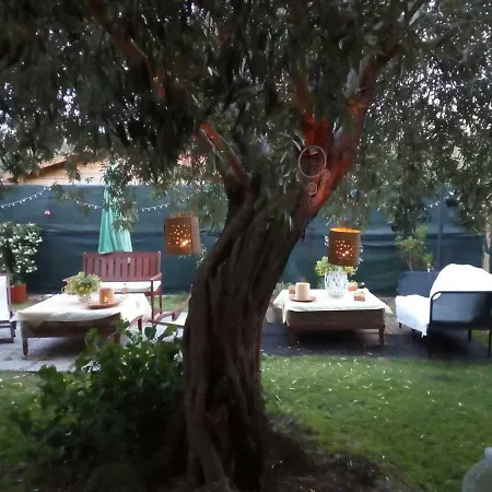 Bed & Breakfast Degli Ulivi Da Patty Capoterra