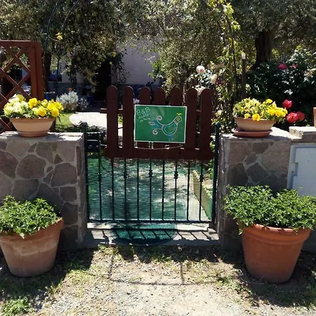 Degli Ulivi Da Patty Capoterra