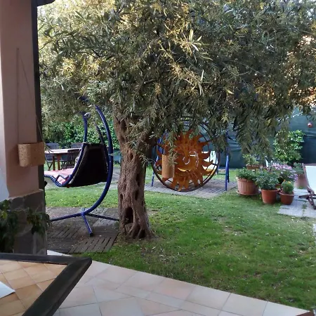Degli Ulivi Da Patty Bed & Breakfast *