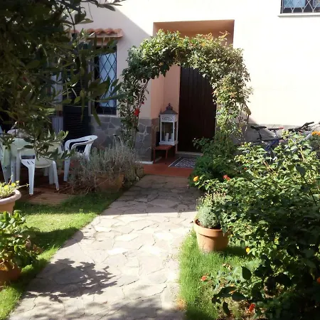 Degli Ulivi Da Patty Bed & Breakfast