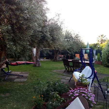 Bed & Breakfast Degli Ulivi Da Patty *