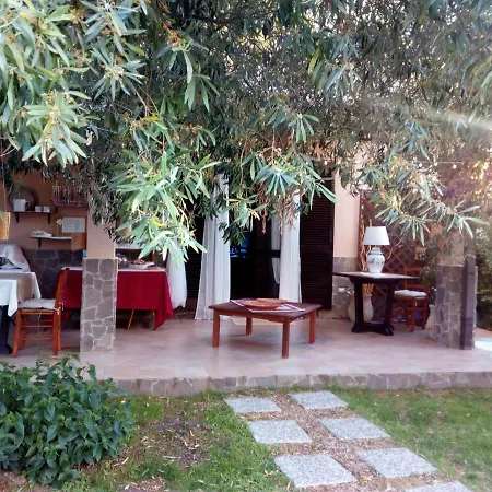 Degli Ulivi Da Patty Bed & Breakfast