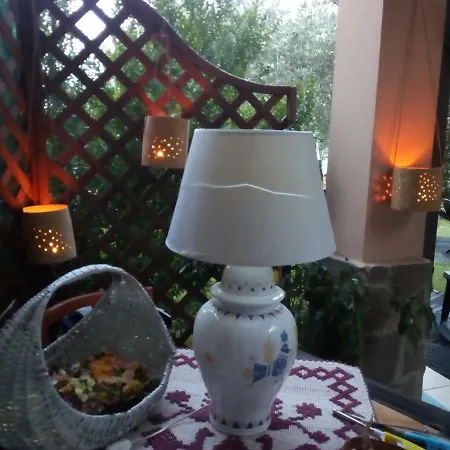 Degli Ulivi Da Patty Bed & Breakfast *