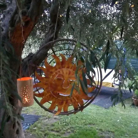 Degli Ulivi Da Patty